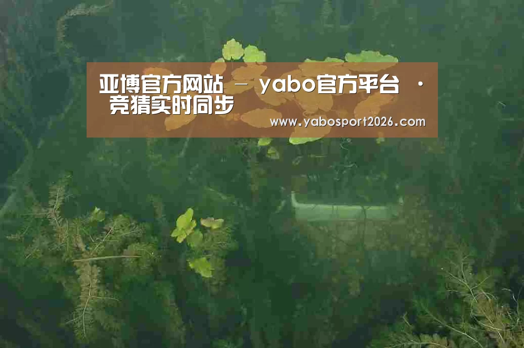 案例展示三(图1)