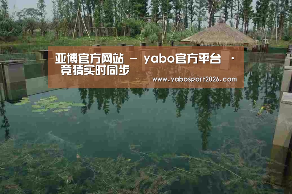 案例展示二