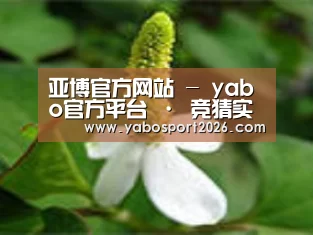 产品名称三