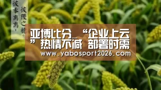 亚博比分_“企业上云”热情不减 部署时需走出这三大误区(图1) 亚博比分