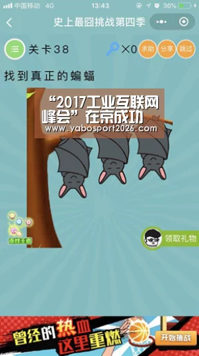 亚博比分